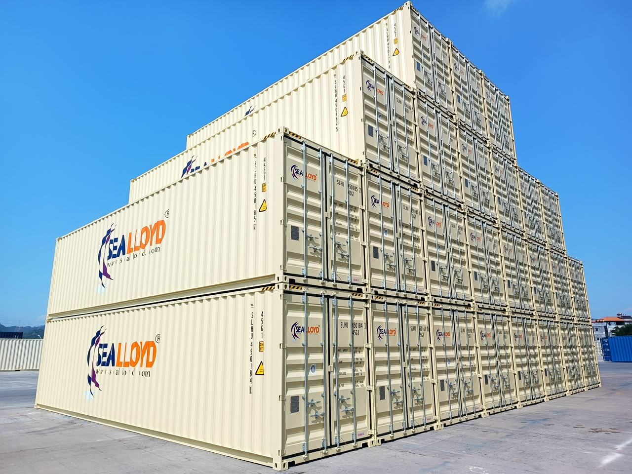 Project Cargo service